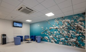 001 chase farm hospital LR